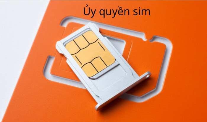 Vay Tiền Qua App Có Cần Ủy Quyền Sim? Lợi Ích Và Rủi Ro Cần Biết